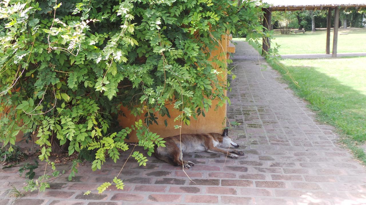 Estancia La Cinacina San Antonio de Areco Eksteriør bilde